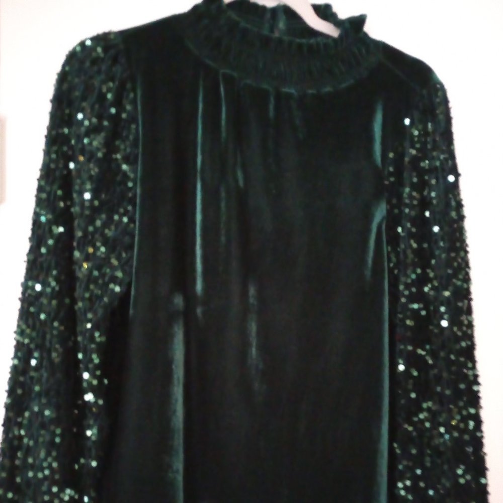 Green Velvet and Sequin Mock Neck Top
